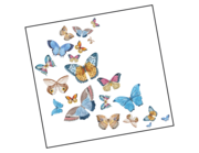 Lieferansicht Autoaufkleber Butterflies in Watercolor XS
