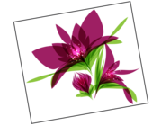 Lieferansicht Autoaufkleber Blume Cassia XS