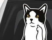 Autoaufkleber FU Cat XS