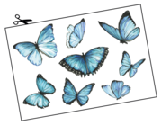 Wandtattoo Blaue Morpho-Schmetterlinge Lieferansicht