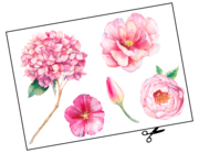 Lieferansicht Wandtattoo Pink Watercolor Flowers