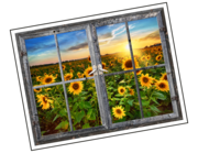 Lieferansicht 3D Wandtattoo Sunflower Field