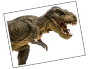Lieferansicht Wandtattoo Tyrannosaurus Rex