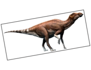 Lieferansicht Wandtattoo Brachylophosaurus