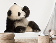 Wandtattoo Panda Baby Bao Tao