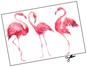 Lieferansicht Wandtattoo Watercolor Flamingos