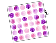 Lieferansicht Wandtattoo Pretty Purple Dots