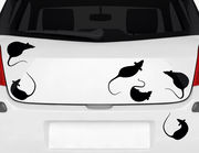Autoaufkleber "Ratten Chat" im Set mit 6 flinken Nagern