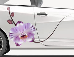Autoaufkleber Orchidee Violetta