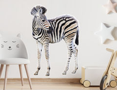 Wandtattoo Zebra Baby Asali