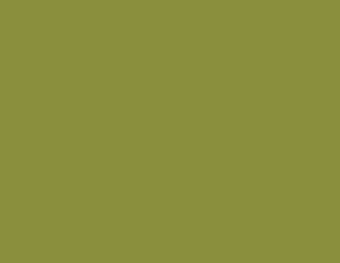 Basic-Möbelfolie Olive
