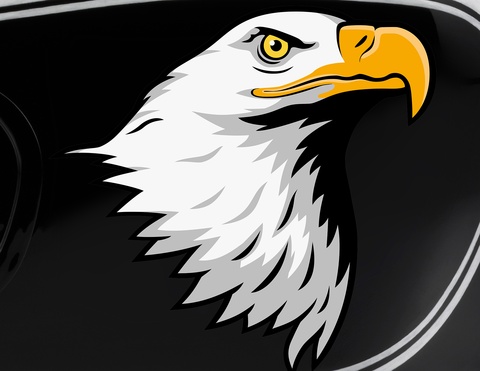 Motorradaufkleber Eagle Head