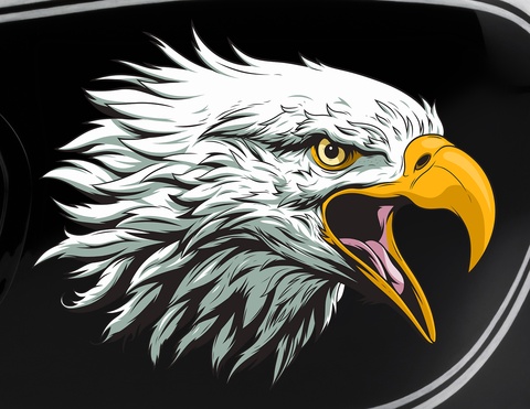 Motorradaufkleber Weißkopfseeadler