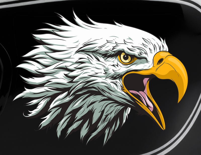 Motorradaufkleber Weißkopfseeadler