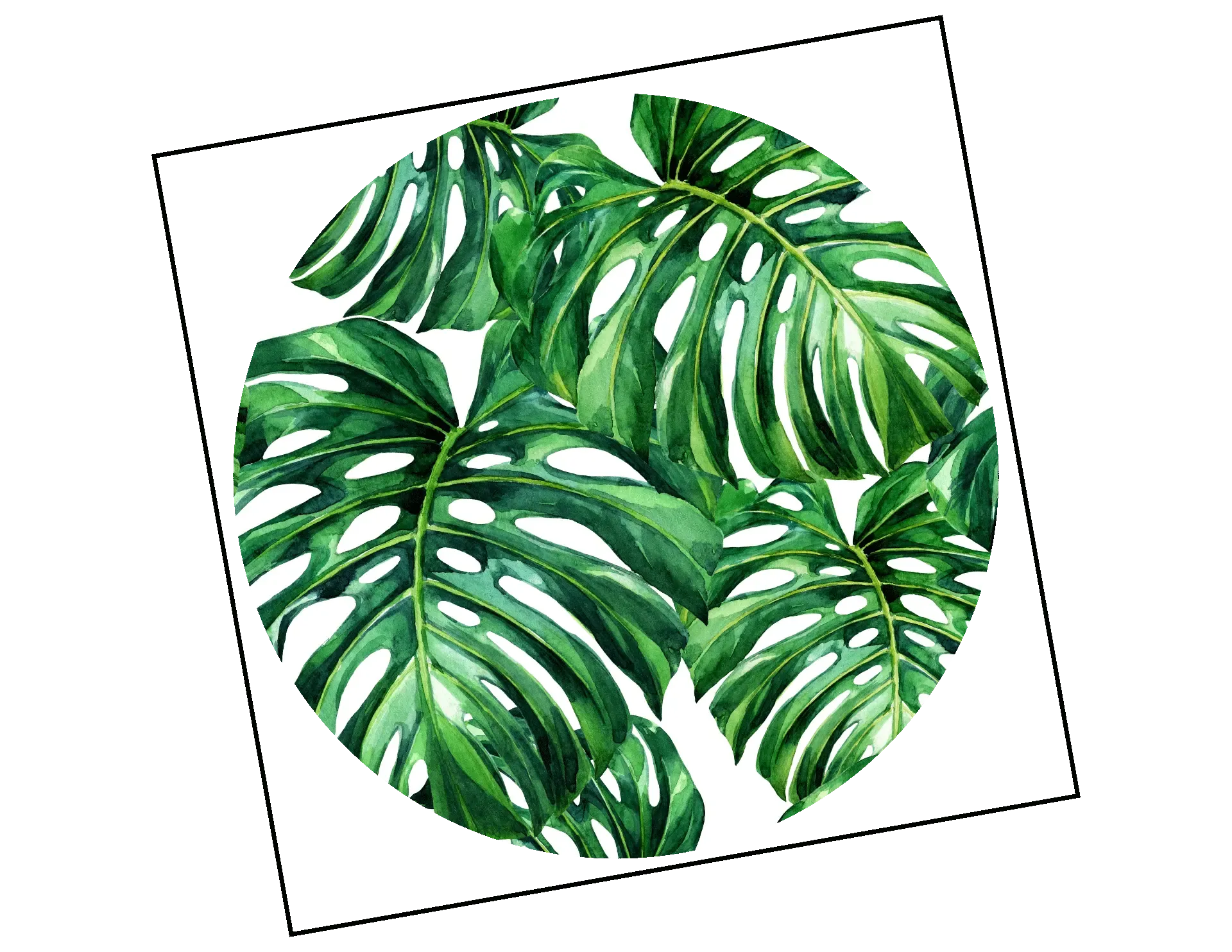 Wandtattoo Tropen-Blatt Monstera