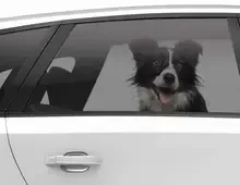 Autoscheiben-Tönungsfolie Leicht - Seitenscheibe