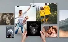 Dein Foto auf Acrylglas & Alu-Dibond