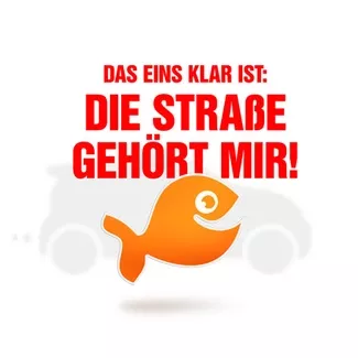 Heckscheibenaufkleber bestellen -  coole Sprüche aus Klebefolie  