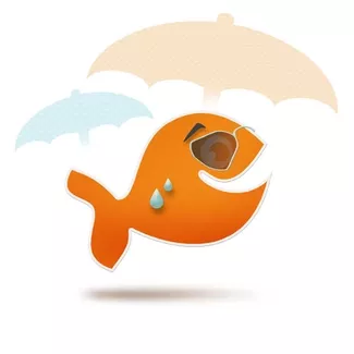 Sonnenschutzfolien für Fenster