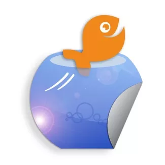 Wandtattoo, eigenen Wandtext und Wandaufkleber richtig montieren.