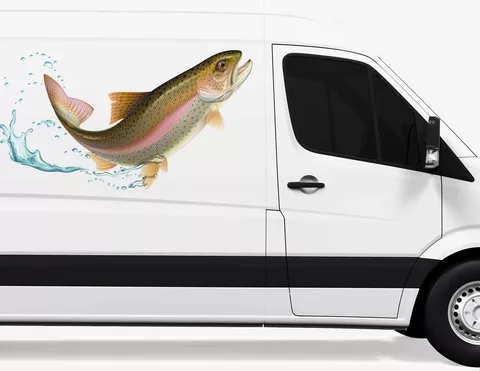 Autoaufkleber Regenbogenforelle Autoaufkleber Regenbogenforelle