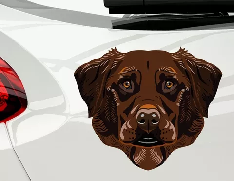 Autoaufkleber Labrador Harrison Brown Autoaufkleber Labrador Harrison Brown