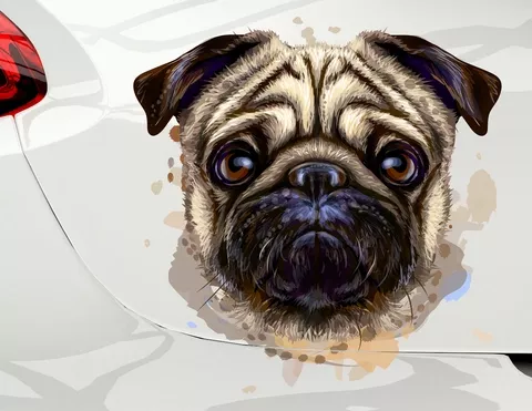 Autoaufkleber Samson der Mops Hund Autoaufkleber Samson der Mops Hund