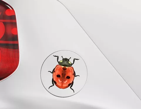 Autoaufkleber Marienkäfer Pünktchen Autoaufkleber Marienkäfer Pünktchen