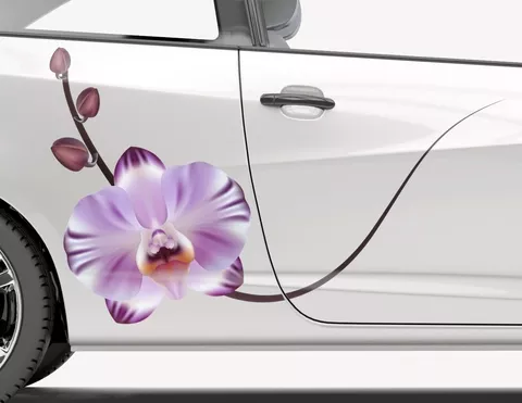 Autoaufkleber Orchidee Violetta Autoaufkleber Orchidee Violetta
