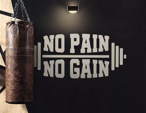Wandtattoo No Pain. No Gain.