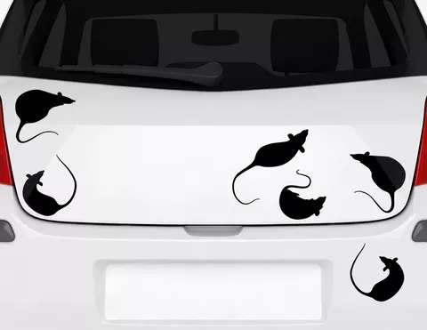 Autoaufkleber "Ratten Chat" im Set mit 6 flinken Nagern Autoaufkleber "Ratten Chat" im Set mit 6 flinken Nagern