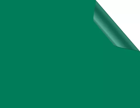 Essential-Möbelfolie Grün