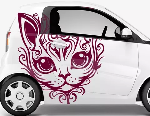 Autoaufkleber Göttlicher Katzenblick