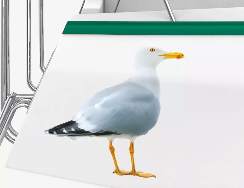 Bootsaufkleber Möwe Storm