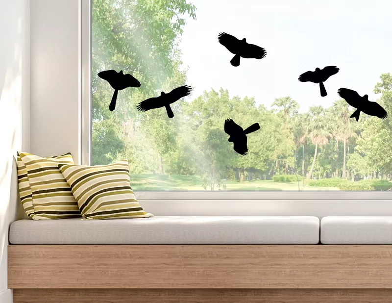 Wandtattoo Heimische Wildvögel