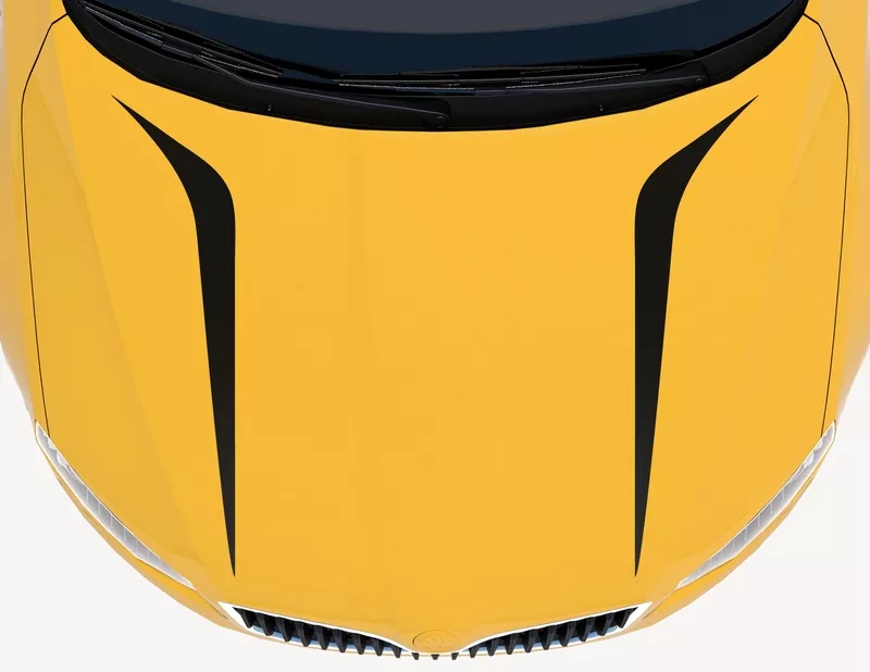 Autoaufkleber Snappy Streamlines