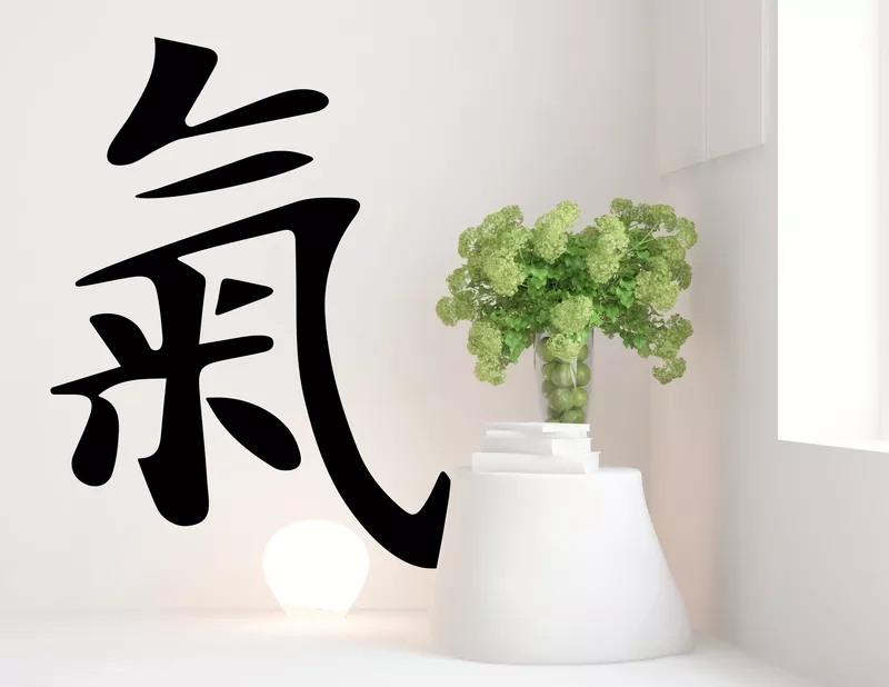Wandtattoo Qi