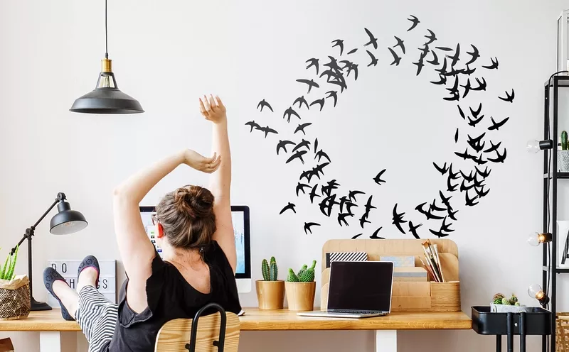 Wandtattoos mit Vögeln & Schmetterlingen
