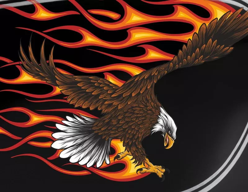 Motorradaufkleber Burning Bald Eagle