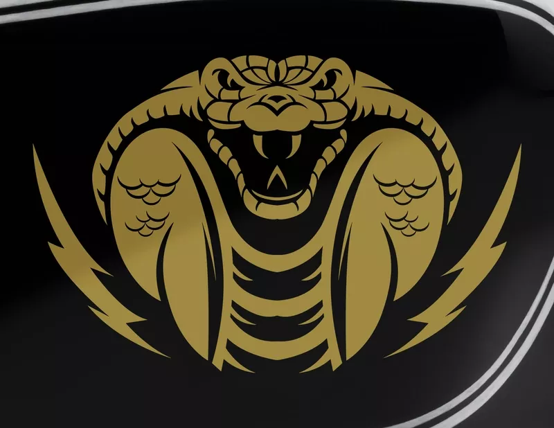 Motorradaufkleber Cobra Flash