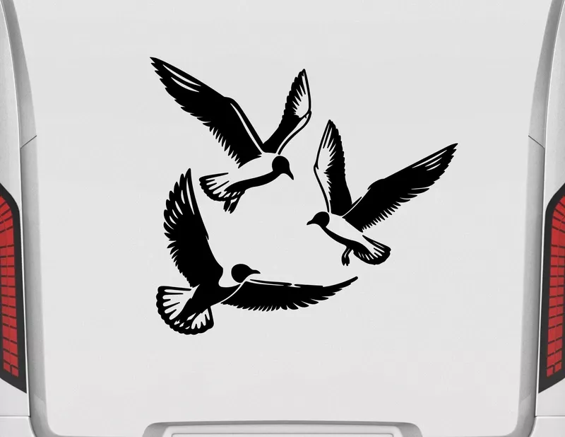 Autoaufkleber Lachmöwen Trio