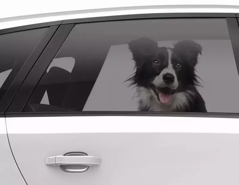  Autoscheiben-Tönungsfolie leichte Tönung als Zuschnitt