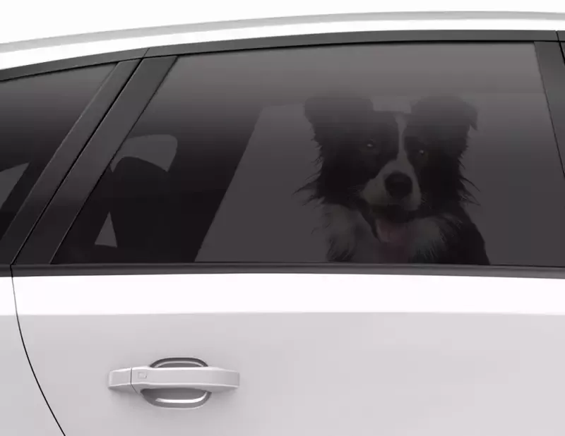 Autoscheiben-Tönungsfolie mittlere Tönung im Zuschnitt