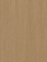 Cashew Beech (B6)