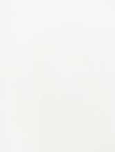 Lacquered White (J4)