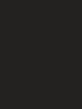 Black Mat (K1)