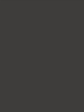 Anthracite Grey (RM06)