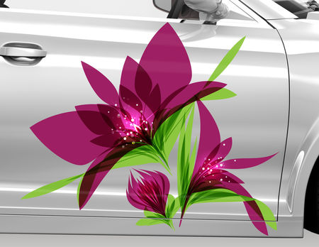 AN149 Autoaufkleber Blumen Ranken Carstyle Set