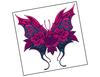Lieferansicht Pink Rose Butterfly