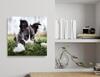 Dein Foto auf Alu-Dibond: zum Beispiel mit Deinem Hund als süßen Welpen